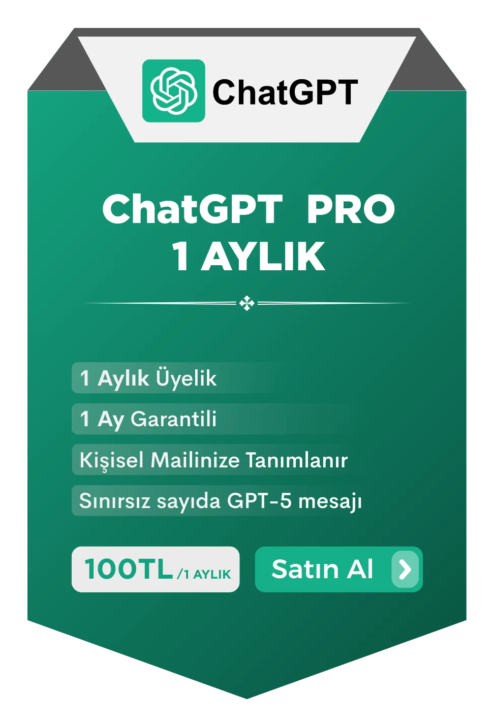 Chatgpt Kişisel Hesap - 1 Aylık